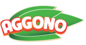 logo1